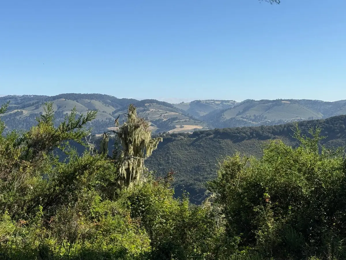 6 Rancho San Carlos (Lot E10) Road, Carmel, CA 93923 - #1