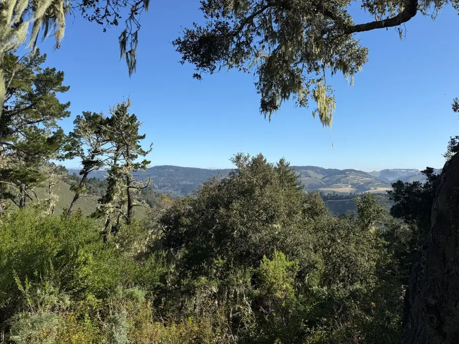 6 Rancho San Carlos (Lot E10) Road, Carmel, CA 93923 - #3
