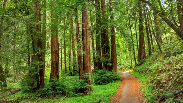 27 Willis Road, SCOTTS VALLEY, CA 95066