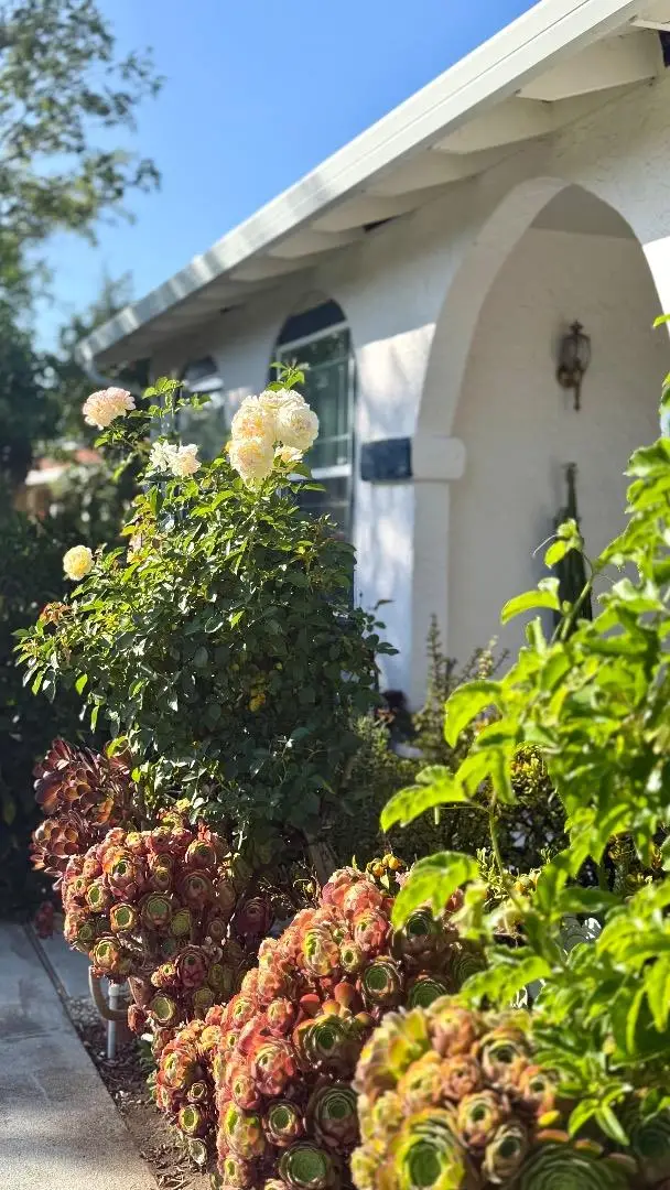 19959 Sea Gull Way, Saratoga, CA 95070 - #3