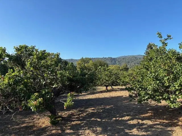 25900 Vinedo, Los Altos Hills, CA 94022 - #2
