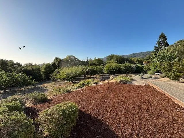 25900 Vinedo, Los Altos Hills, CA 94022 - #3
