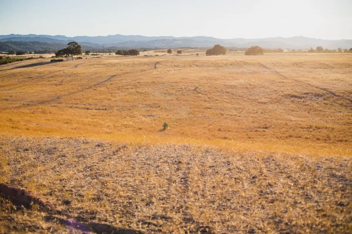 68351 Jolon Road, Bradley, CA 93426 - #1