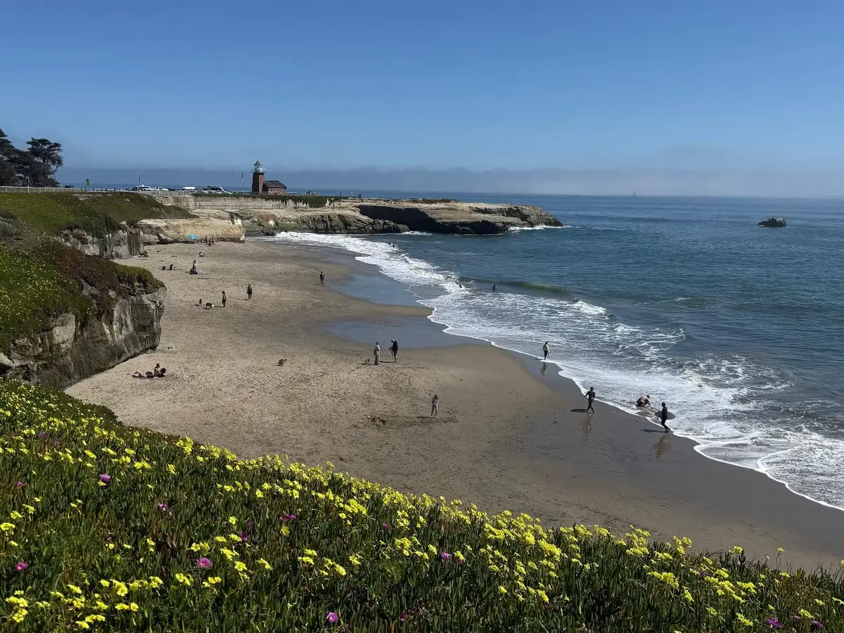 257 High Street, Santa Cruz, CA 95060 - #1