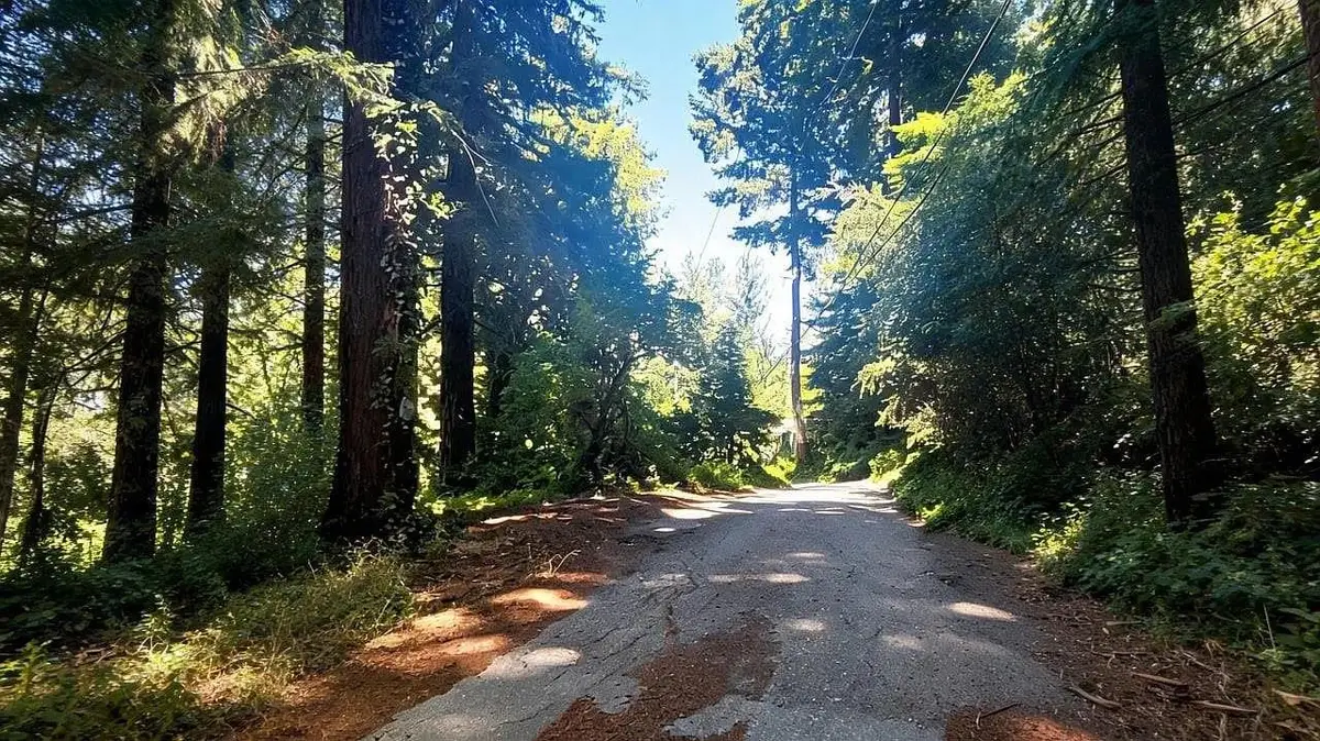 1080 Blue Ridge Drive, Boulder Creek, CA 95006 - #1