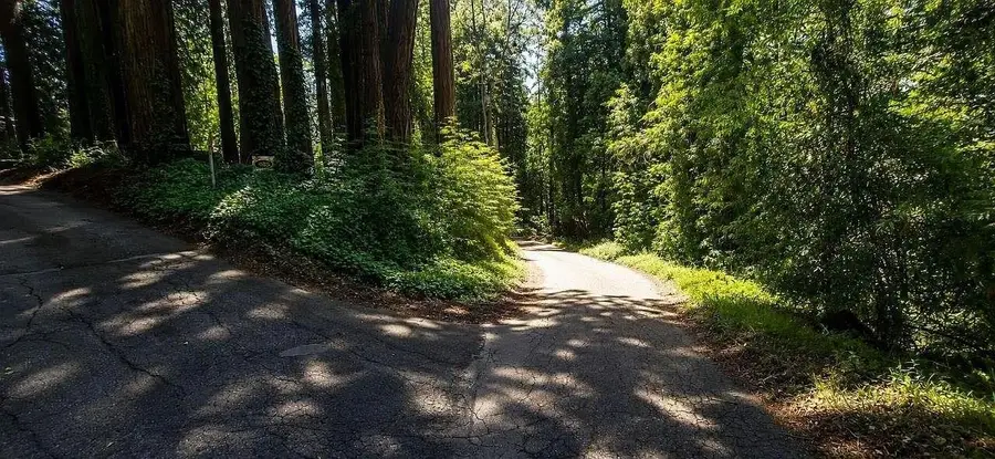 1080 Blue Ridge Drive, Boulder Creek, CA 95006 - #3