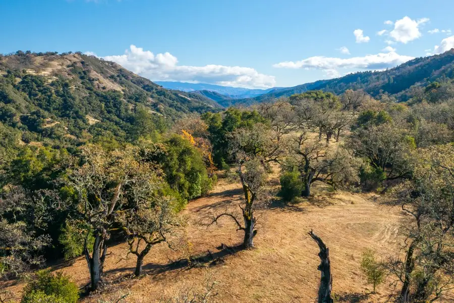 37 Arroyo Sequoia (Lot 113), Carmel, CA 93923 - #2