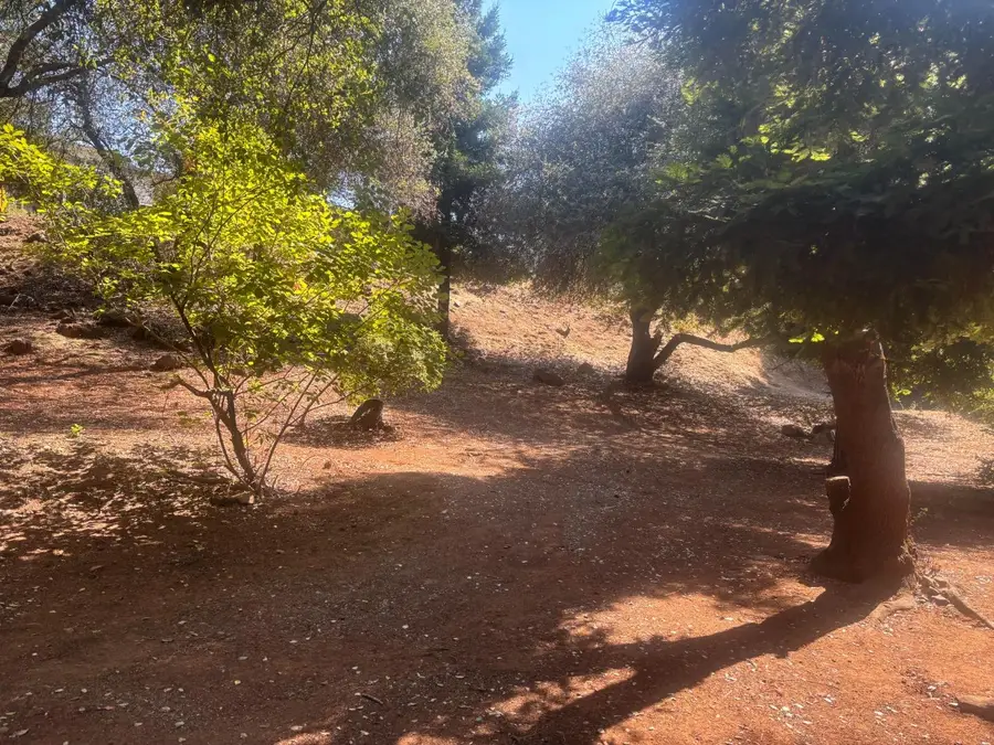 3652 Fairway Drive, Cameron Park, CA 95682 - #2