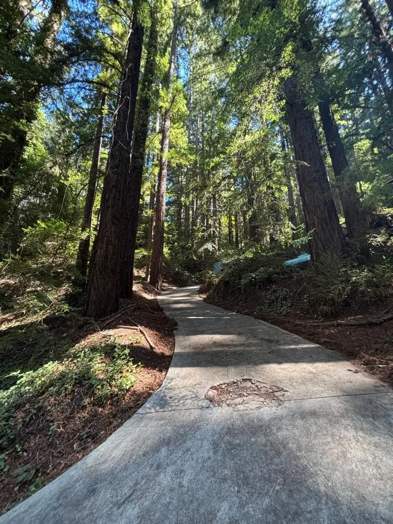 400 Martin Drive, Scotts Valley, CA 95066 - #3