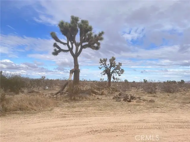 0 Dos Palmas Rd Road, Phelan, CA 92371 - #1