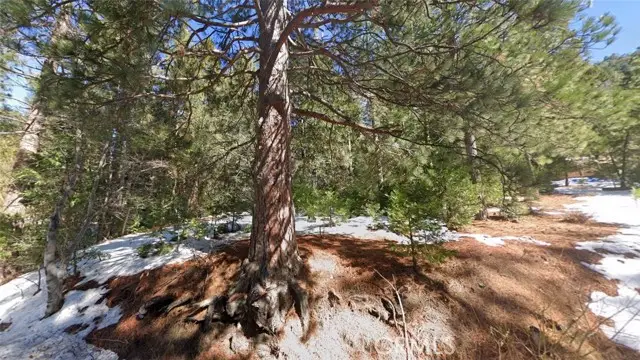 25900 Cassler Drive, Idyllwild, CA 92549 - #2