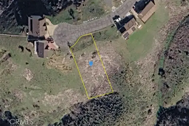339 Black Oak Lane, Napa, CA 94558 - #1