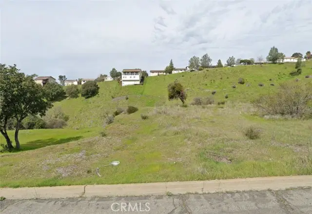 339 Black Oak Lane, Napa, CA 94558 - #2