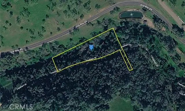 10605 Fleehart Street, Amador City, CA 95601 - #1