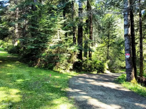 44551 Raven Lane, Mendocino, CA 95460