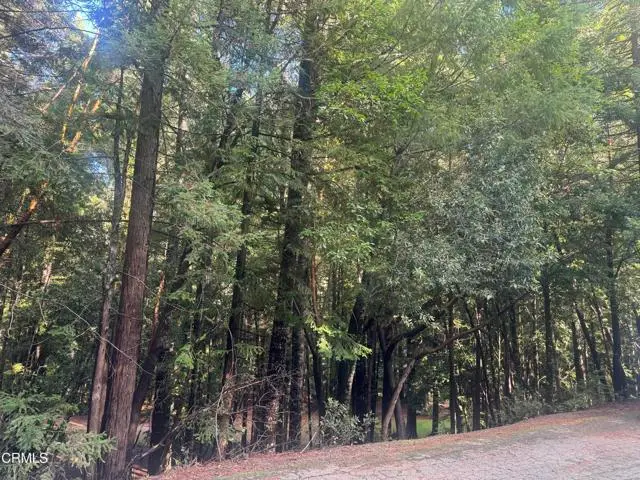 25195 Bluejay Lane, Willits, CA 95490 - #1