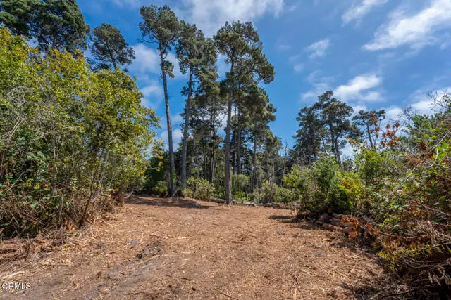 17898 Georges Lane, Fort Bragg, CA 95437 - #2