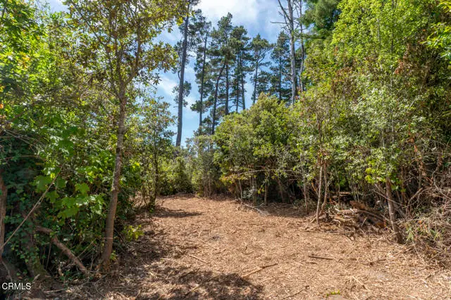 17898 Georges Lane, Fort Bragg, CA 95437 - #3