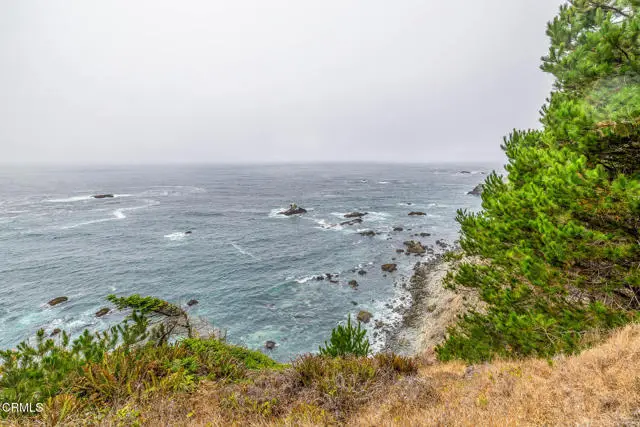 2250 Highway 1, Albion, CA 95410 - #3