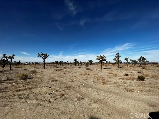 0 Arcadia, Pinon Hills, CA 92372 - #1