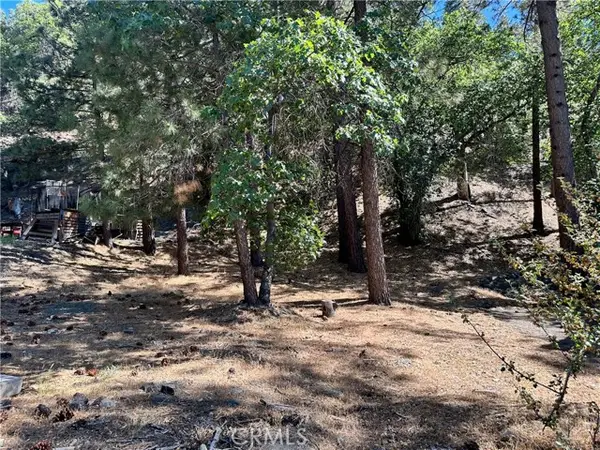 0 Heath Creek Drive, Wrightwood, CA 92397