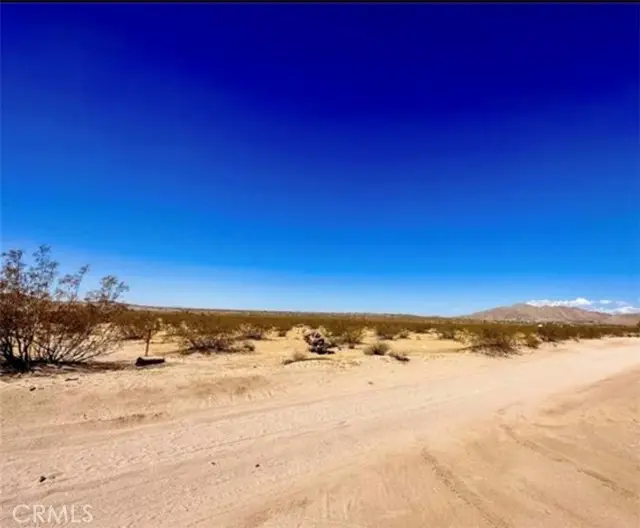 0 Dennis Avenue, Joshua Tree, CA 92252 - #1