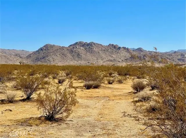 0 Dennis Avenue, Joshua Tree, CA 92252 - #2