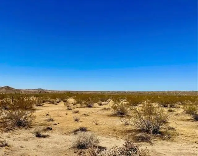 0 Dennis Avenue, Joshua Tree, CA 92252 - #3