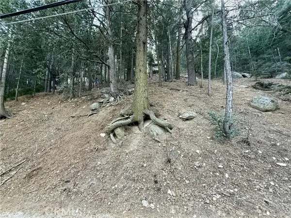 0 Scenic View, Crestline, CA 92325