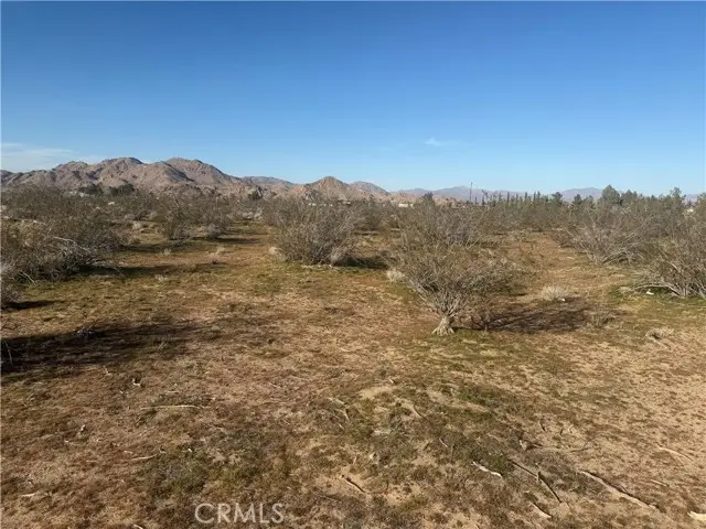 31020 Pawnee Road, Lucerne Valley, CA 92356 - #2