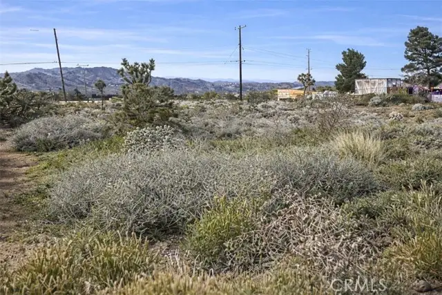 0 Natoma Trail, Joshua Tree, CA 92252 - #3