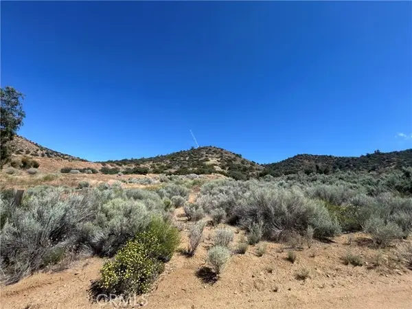 0 VAC/ALLUVIUM WY (DRT)/VIC ROSENL, Santa Clarita, CA 91350