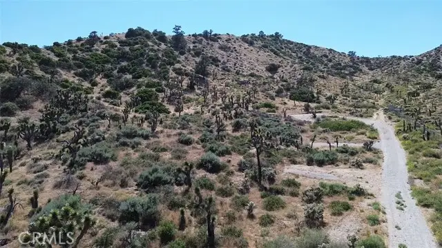 0 Mesquite Road, Pinon Hills, CA 92372 - #2