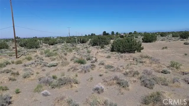 0 Coyote / Pionero Road, Pinon Hills, CA 92372 - #2