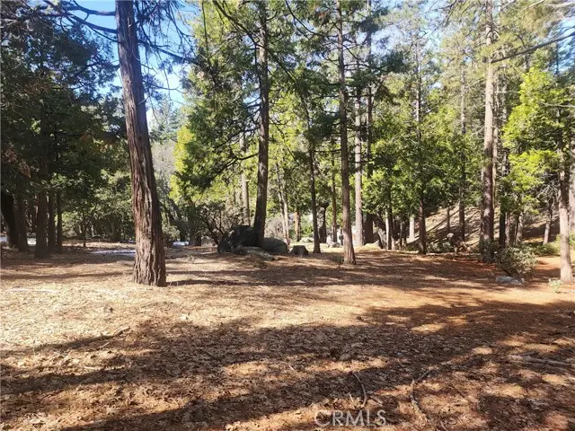52547 Pine Cove, Idyllwild, CA 92549 - #1