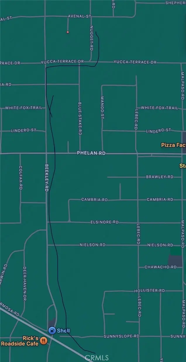 10120 Mescalero, Phelan, CA 92371 - #3