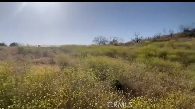7 Cooper Cienega Truck Tr Dr, Anza, CA 92539 - #3