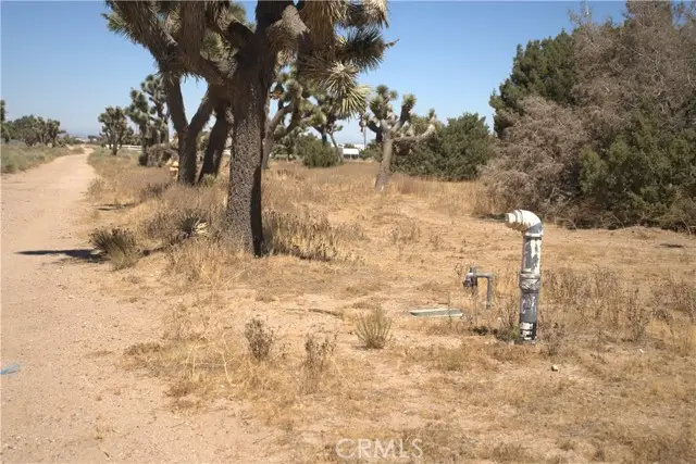 0 Fremontia Road, Hesperia, CA 92344 - #1