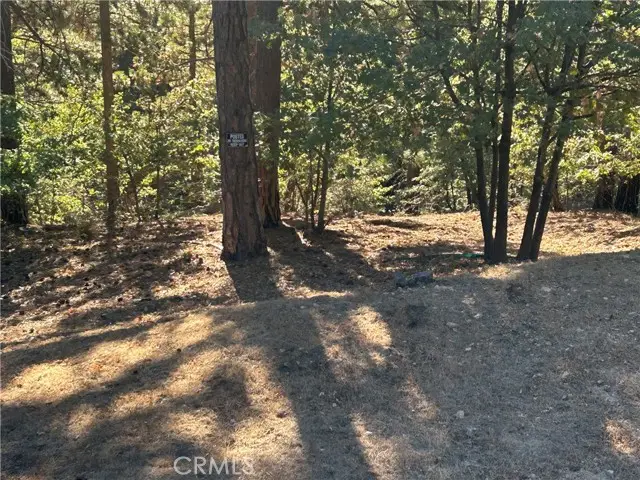 2335 Deep Creek, Running Springs, CA 92382 - #2