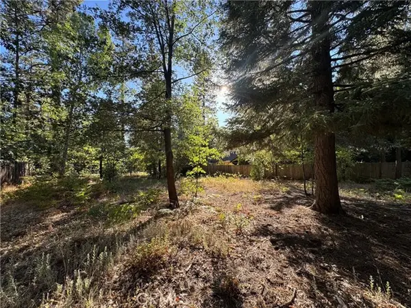 0 Fern Valley Road, Idyllwild, CA 92549