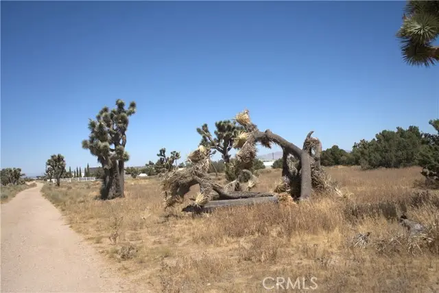0 Fremontia, Hesperia, CA 92344 - #1