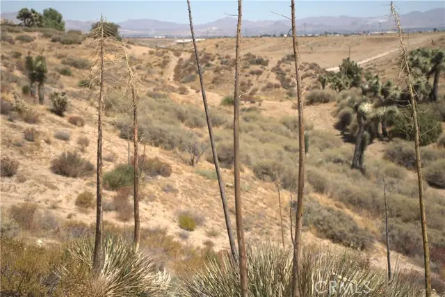 0 Fremontia, Hesperia, CA 92344 - #3