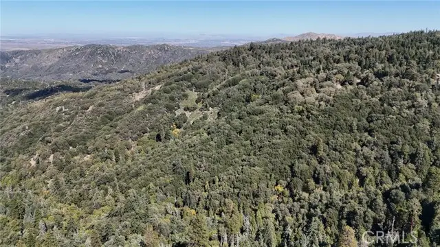 0 Strawberry Ln, Twin Peaks, CA 92391 - #3
