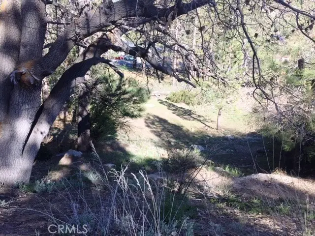 0 Talmadge, Big Bear Lake, CA 92315 - #3