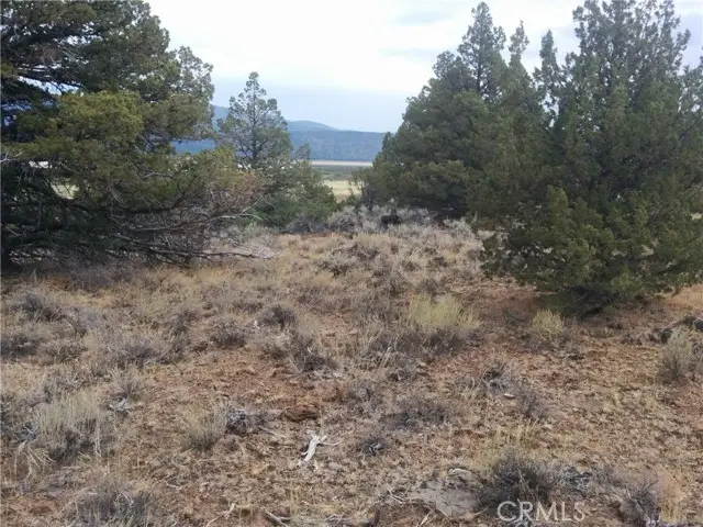 0 STREET, Susanville, CA 96130 - #3