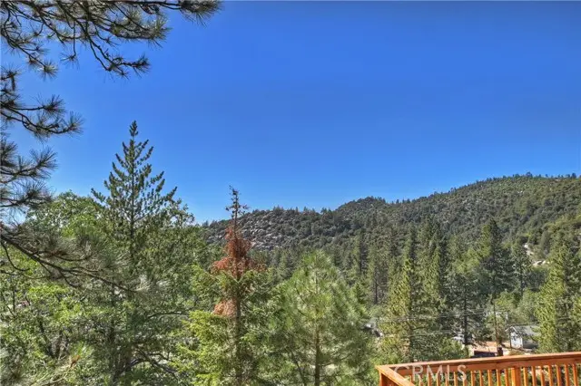 33026 Donner Lane, Running Springs, CA 92382 - #2