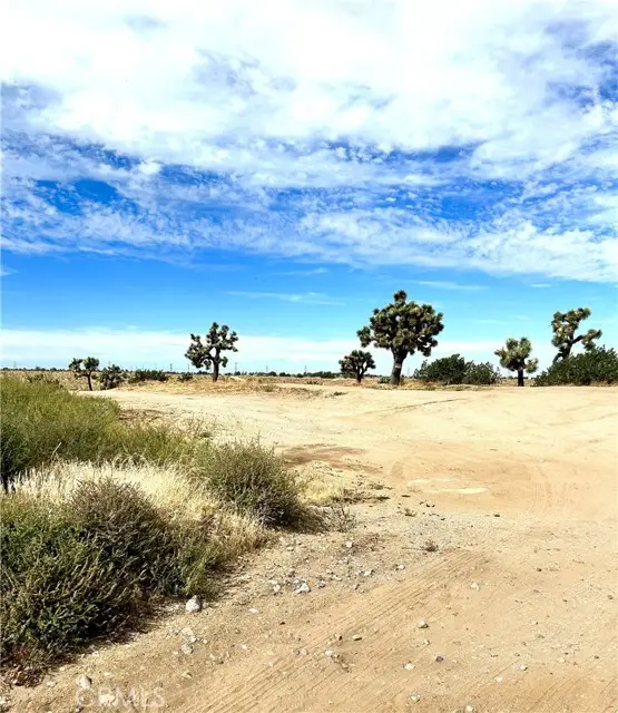 1 Lis N Buckthorne C Road, Helendale, CA 92342 - #1