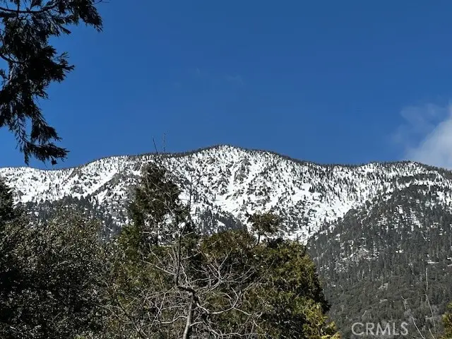 0 Fir, Forest Falls, CA 92339 - #1