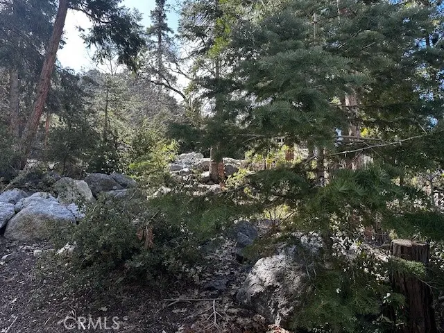 0 Fir, Forest Falls, CA 92339 - #3