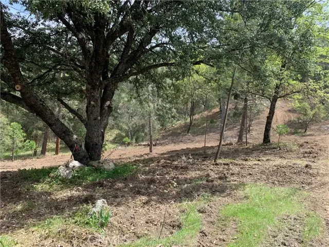 222 Rd 222, Oakhurst, CA 93644 - #2